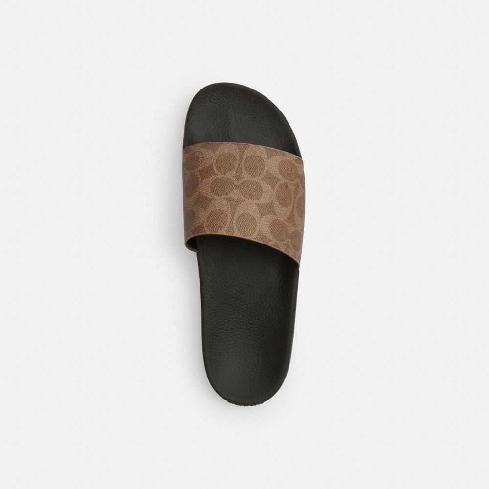 COACH®,Slide In Signature Canvas,Polyester,Rubber,Slides,Fabric,Sustainable,Casual,Pool,Brown,Inside View,Top View