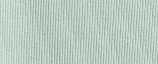 COACH®,T-SHIRT CÔTELÉ NEW YORK,Menthe,Front View