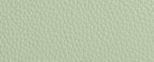 COACH®,Maggie Tote Bag,Leather,Tote,Embossed,Logo,Metal,Work,Green,Front View