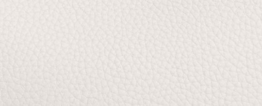COACH®,Laurel Large Shoulder Bag,Leather,Shoulder Bag,Logo,Metal,Casual,White,Front View