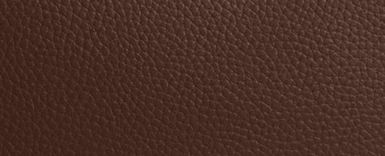 COACH®,Laurel Large Shoulder Bag,Leather,Shoulder Bag,Logo,Metal,Casual,Brown,Front View