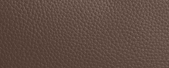 COACH®,Laurel Large Shoulder Bag,Leather,Shoulder Bag,Logo,Metal,Casual,Brown,Front View
