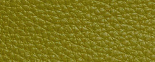 COACH®,Kailey Shoulder Bag,Leather,Shoulder Bag,Embossed,Metal,Logo,Adjustable,Casual,Olive