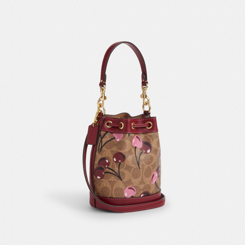 COACH®,Mini Bucket Bag In Signature Canvas With Cherry Print,,Angle View