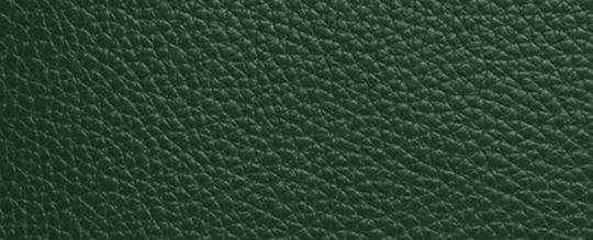 COACH®,Sullivan Pack,Emerald