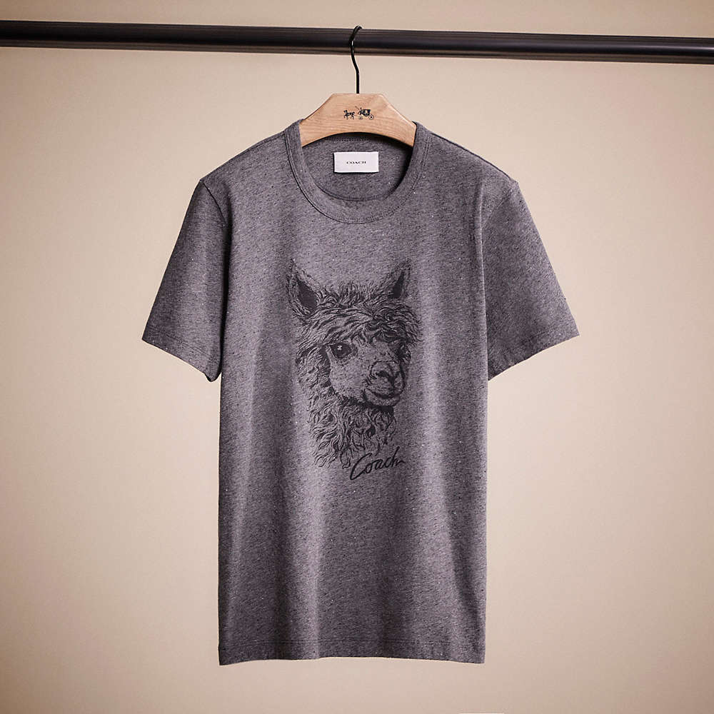 Shop Coach Restored Alpaca Graphic T Shirt In Medium Grey Melange