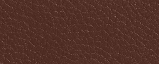 COACH®,Card Holder Wallet In Signature Canvas,Canvas,Leather,Card Case,Metal,Logo,Casual,Brown