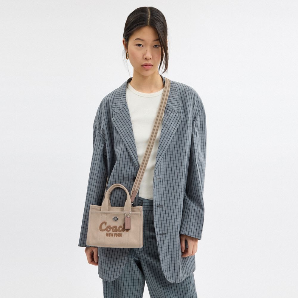 Coach In Silver/dark Natural