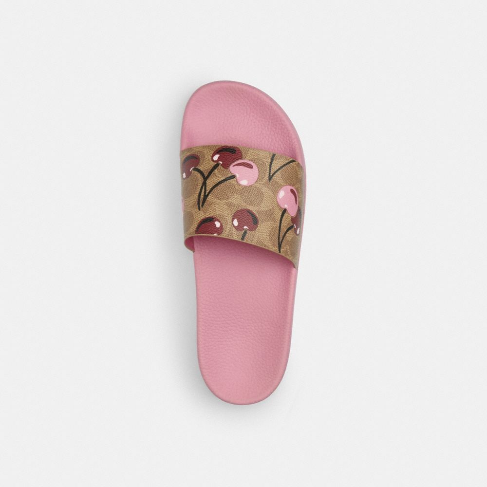 COACH®,Udele Sport Slide In Signature Canvas With Cherry Print,Canvas,EVA,Rubber,Slides,Pull Tab,Casual,Brown,Inside View,Top View