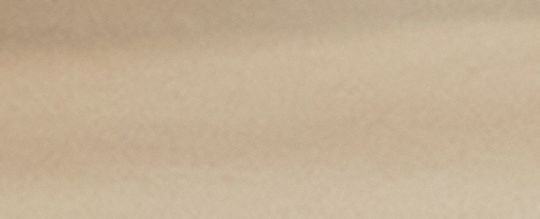 COACH&reg;,Bridgette Sandal In Signature Canvas,Canvas,Rubber,Flip Flops,Casual,Brown