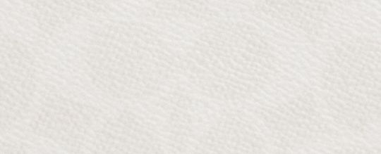 COACH®,Large Corner Zip Wristlet In Signature Canvas,Canvas,Wristlet,Casual,White