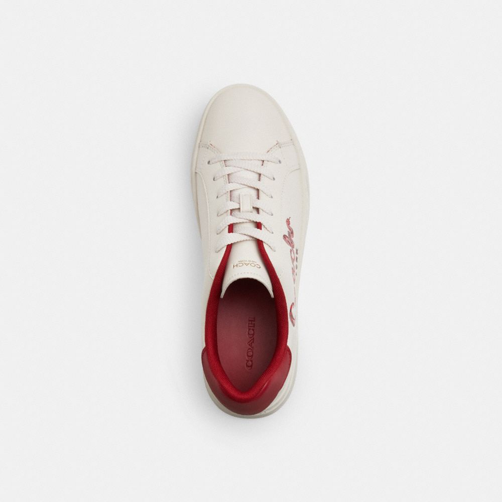 COACH NEW YEAR HIGH LINE SNEAKER WITH COACH SNAKE SCRIPT 
