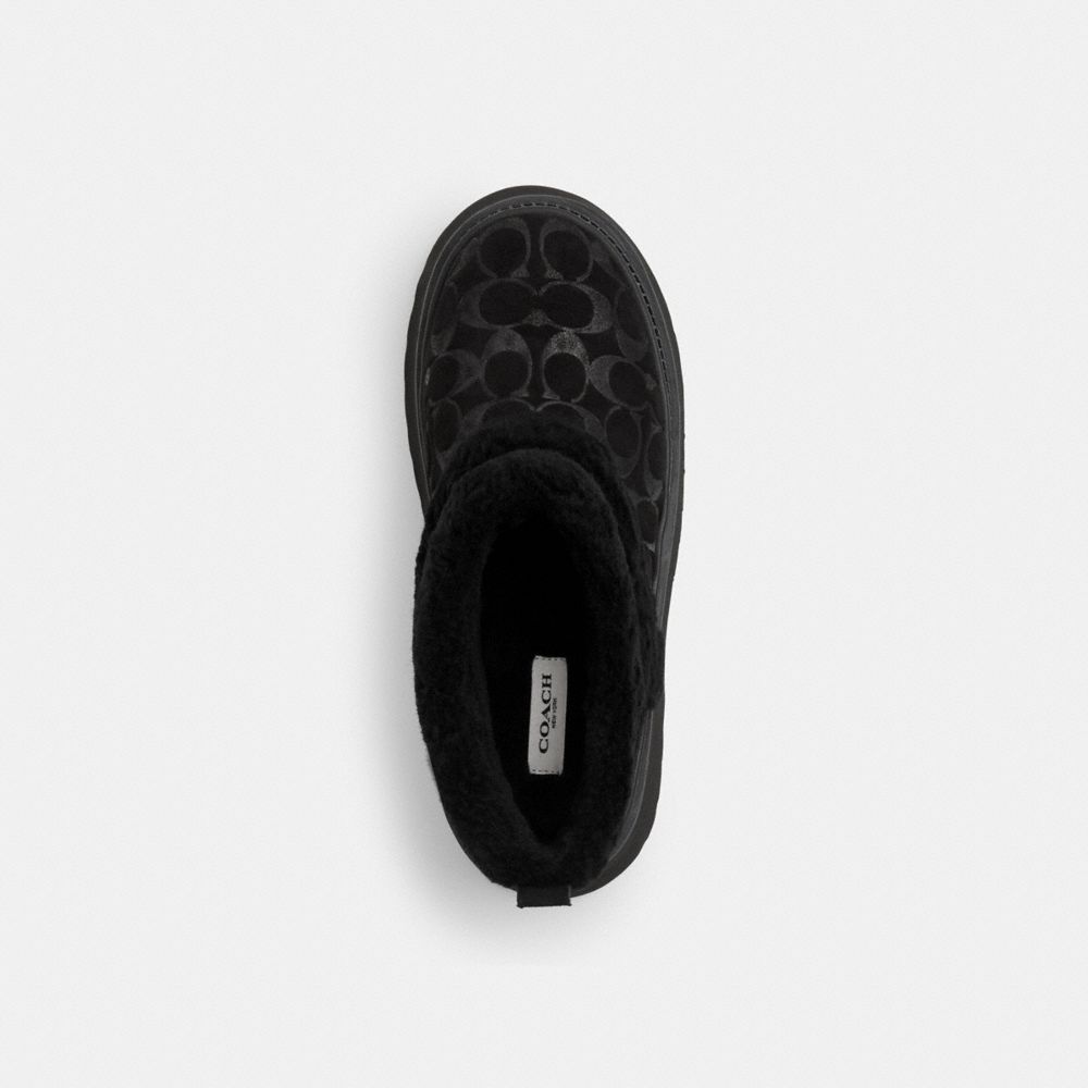 COACH®,Christina Bootie In Signature Suede,Wool,Suede,Winter,Fur Embellishment,Color Block,Pull Tab,Cushioned,Outdoor,,Inside View,Top View