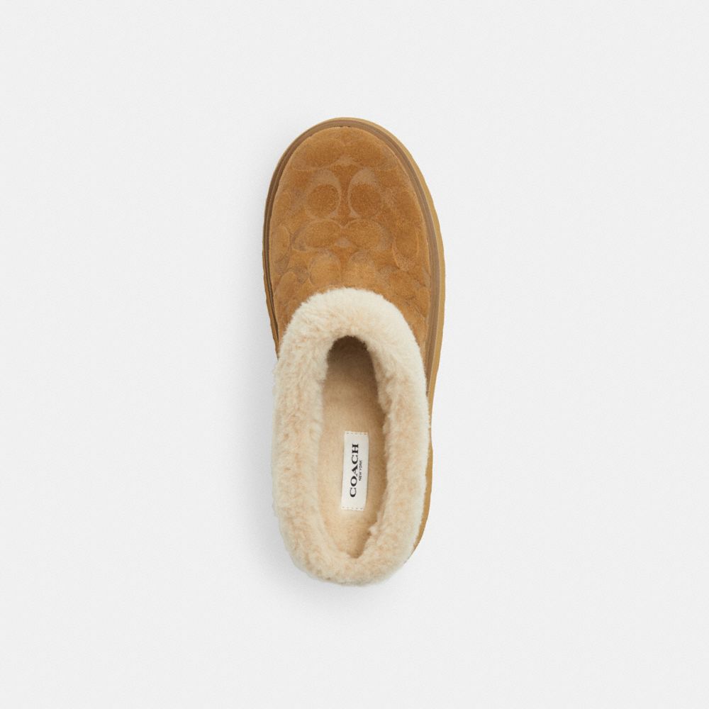 COACH®,Cecelia Clog In Signature Suede,Wool,Suede,Clogs,Fur Embellishment,Color Block,Cushioned,Pull Tab,Outdoor Slipper,Brown,Inside View,Top View