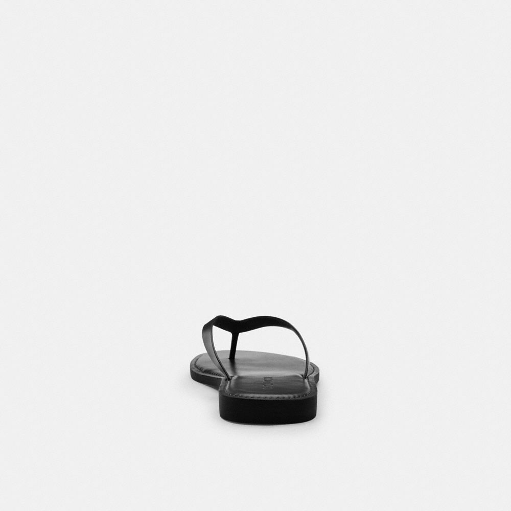Coach In Black