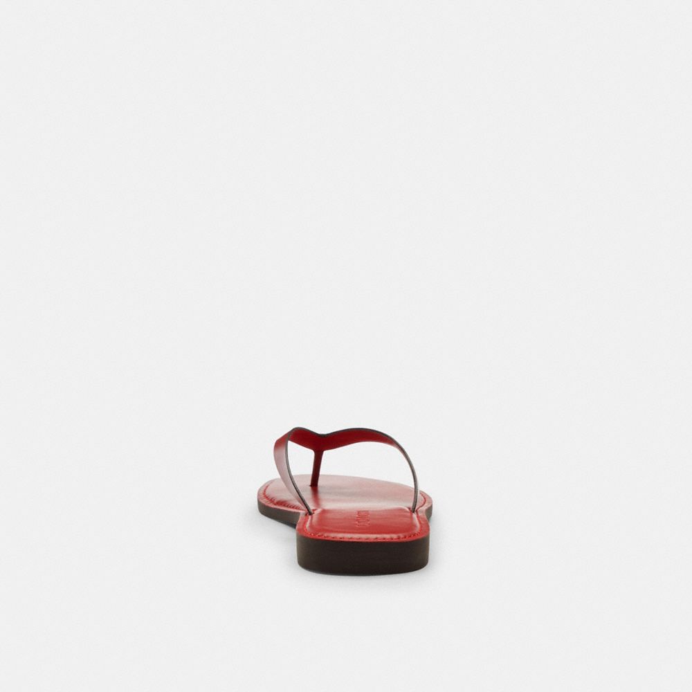 Coach In Ruby