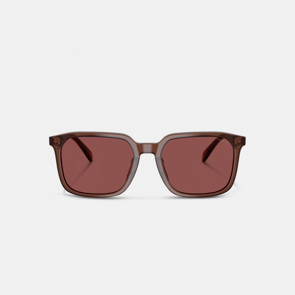 COACH®,Thin Square Sunglasses,Square,Word Embellishment,Logo,Metal,Casual,Brown,Inside View,Top View