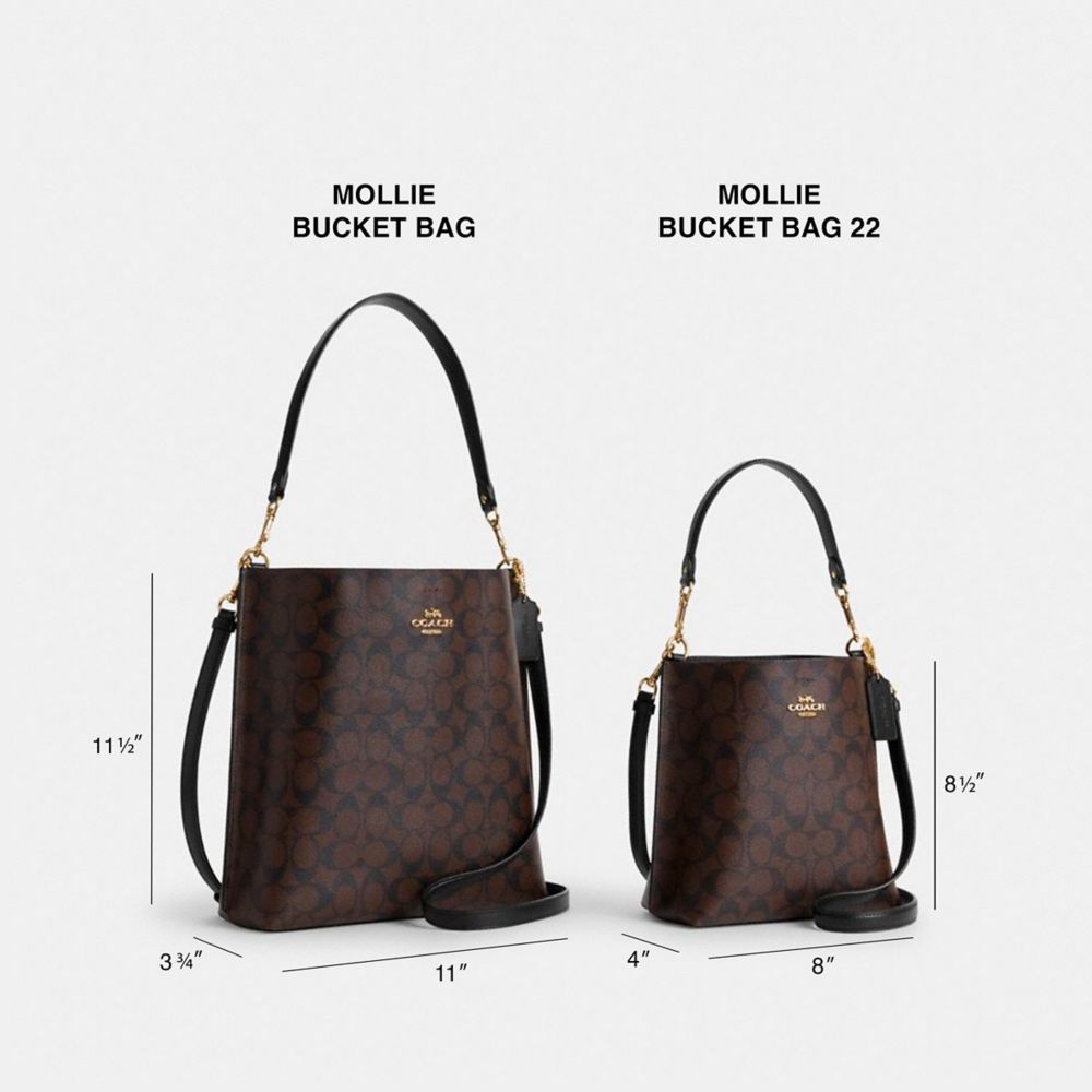 COACH® | Mollie Bucket Bag 22