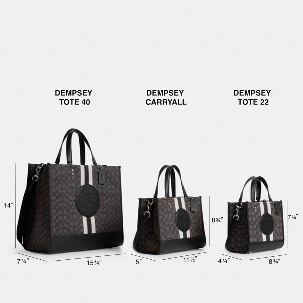 The Coach Dempsey Tote 22 was the lucky winner you all chose for me to, tote  bags