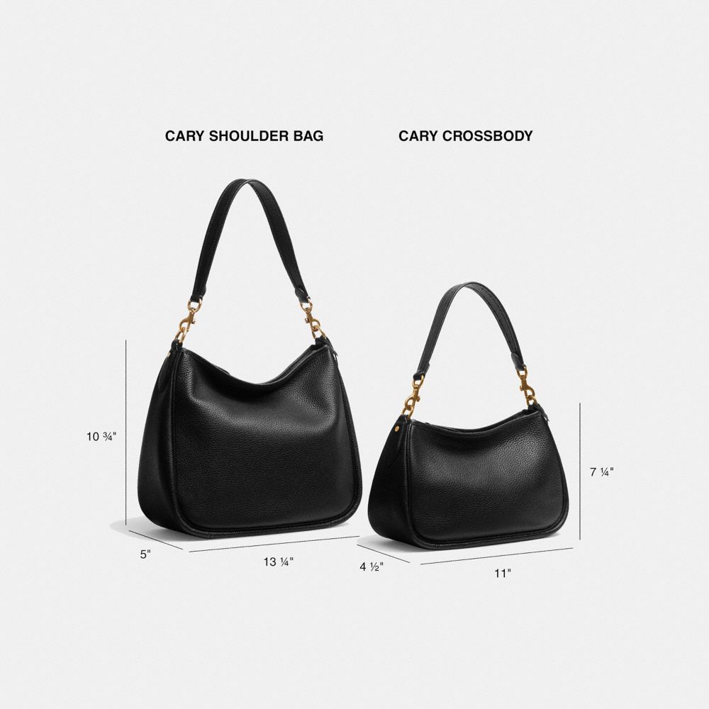 Cary Medium Crossbody Bag