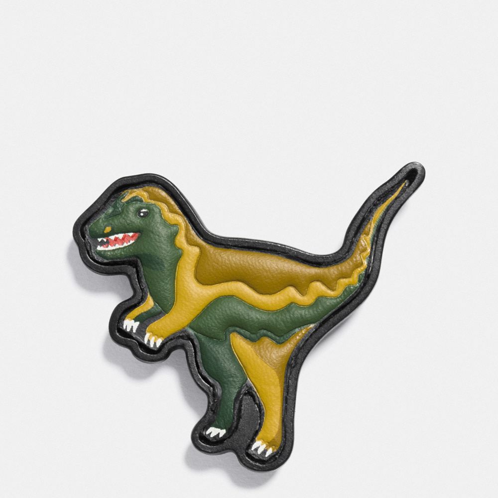 Paint By Numbers Rexy Pin