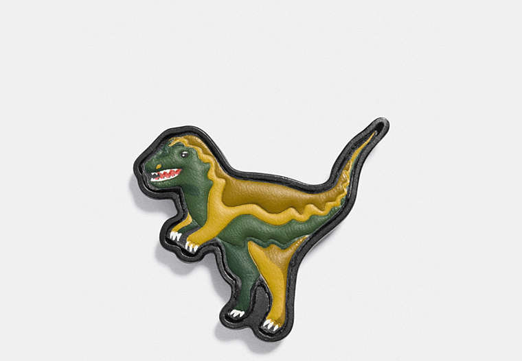 Paint By Numbers Rexy Pin