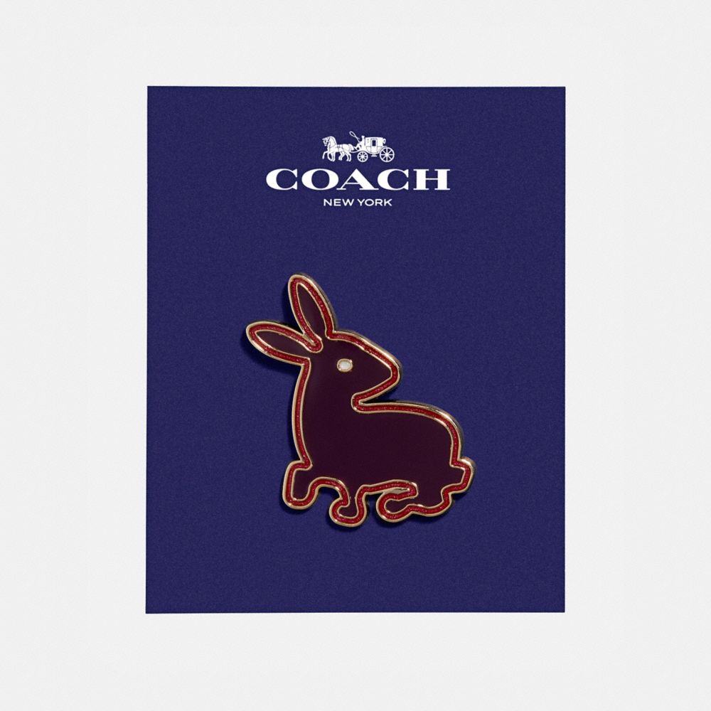 Pretty Bunny Pin