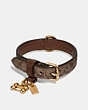 COACH®,SMALL PET COLLAR IN SIGNATURE CROSSGRAIN LEATHER,Coated Canvas,Gold/Khaki Saddle,Front View
