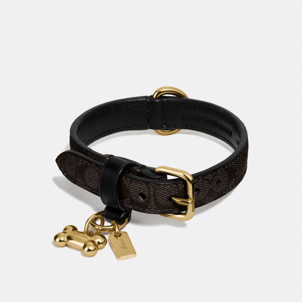 Coach dog sale collar