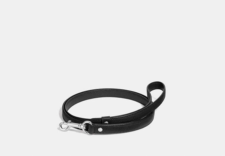 COACH®,SMALL PET LEASH,Leather,Silver/Black,Front View