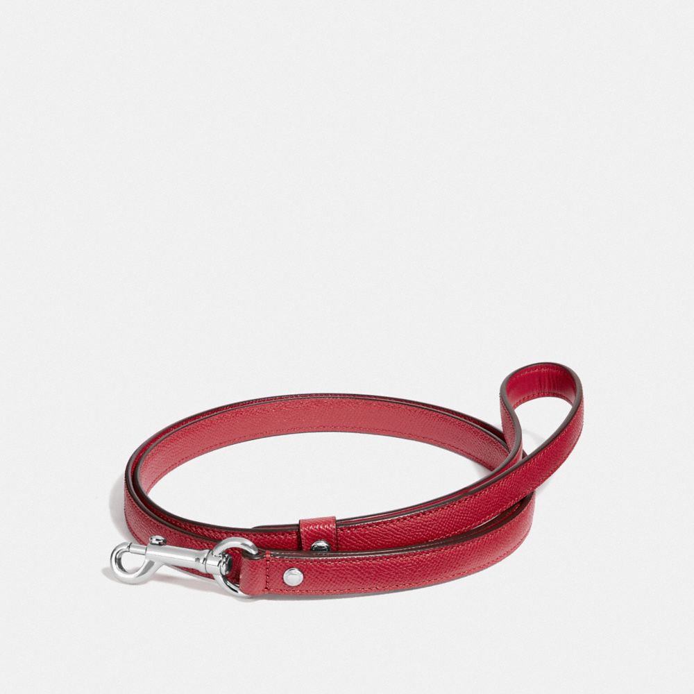 Coach dog collar online outlet