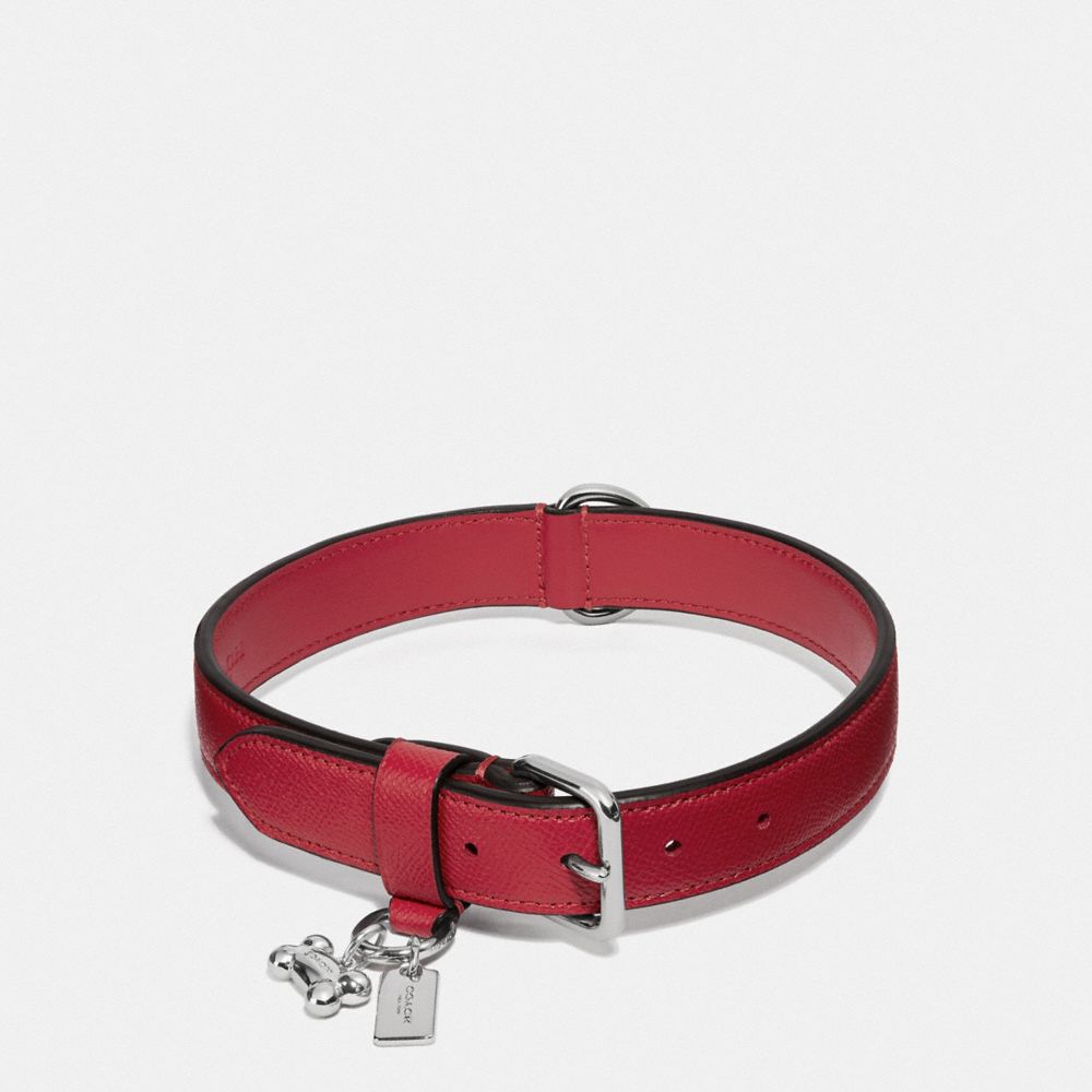 Coach dog collars discontinued best sale