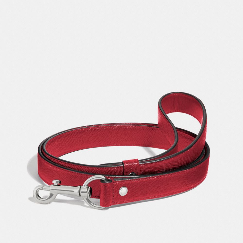 Coach dog collar large best sale