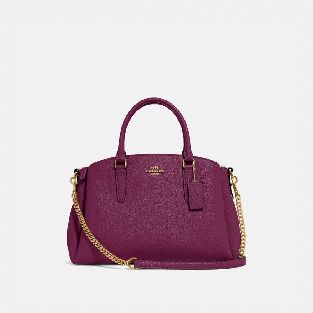 Coach sage carryall mini new arrivals