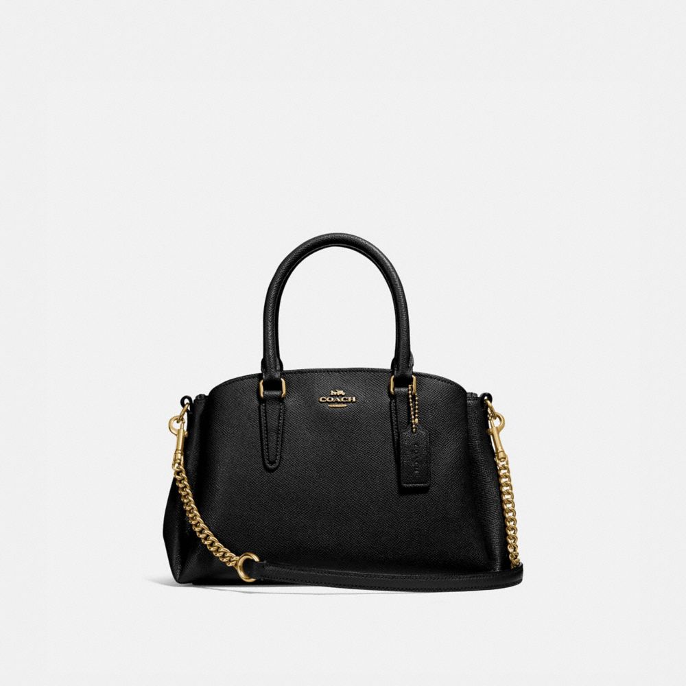 Coach sage carryall bag on sale