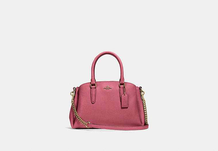 COACH®,MINI SAGE CARRYALL,Leather,Medium,Gold/Rouge,Front View