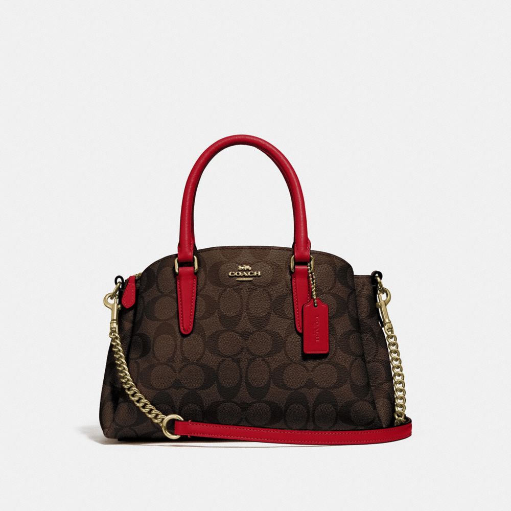 Coach sage best sale carryall mini