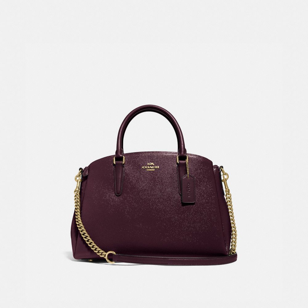 Coach sage carryall online mini