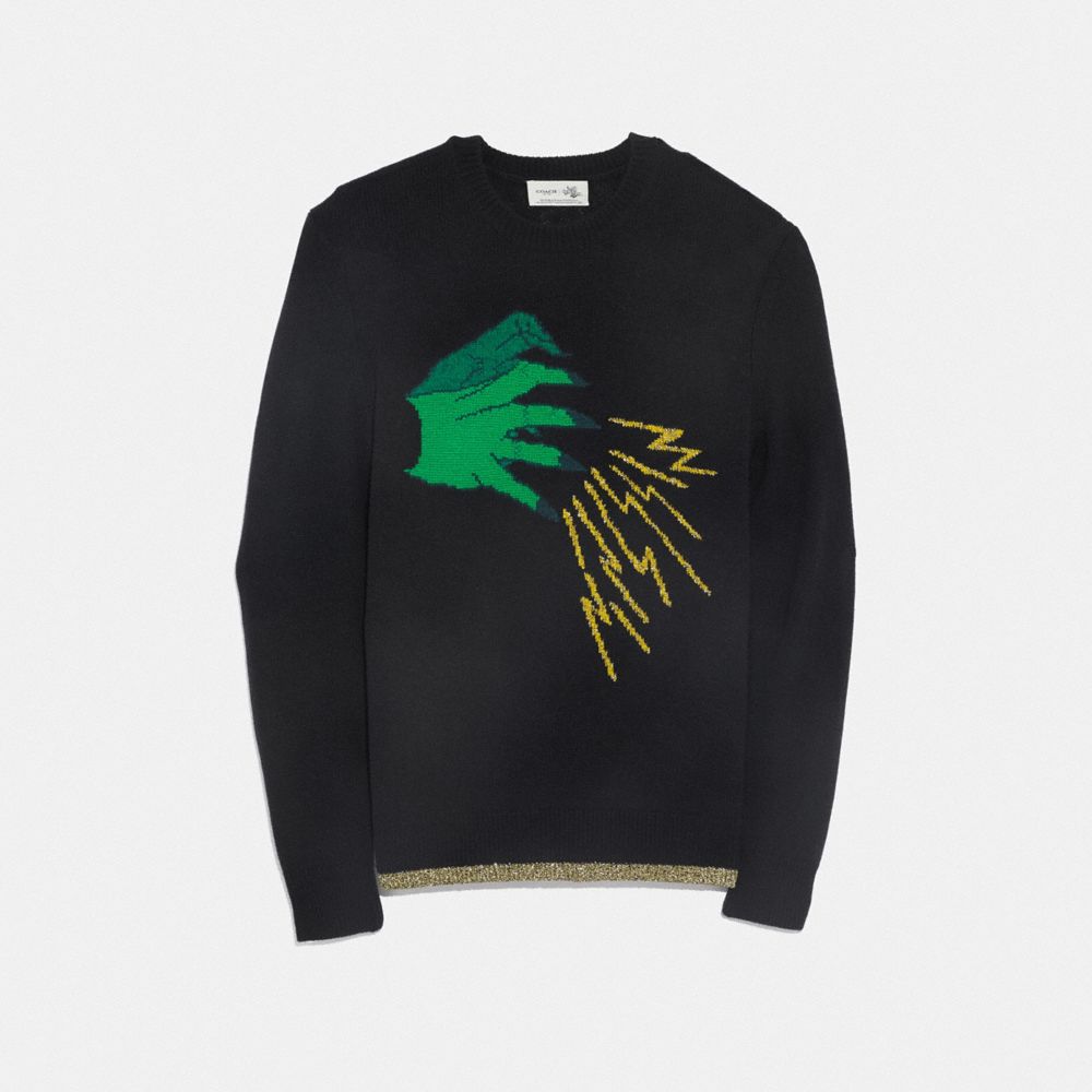 Wicked Witch Sweater