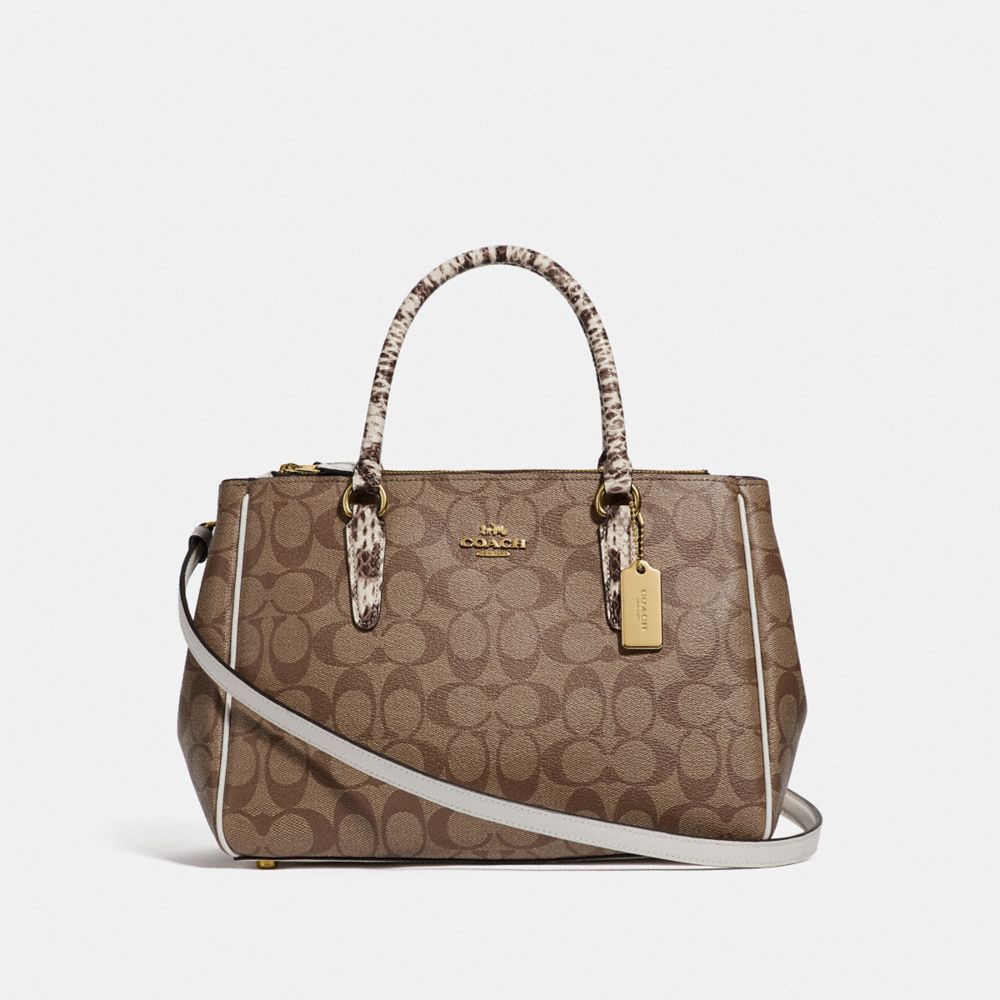 Coach etta carryall in signature canvas sale