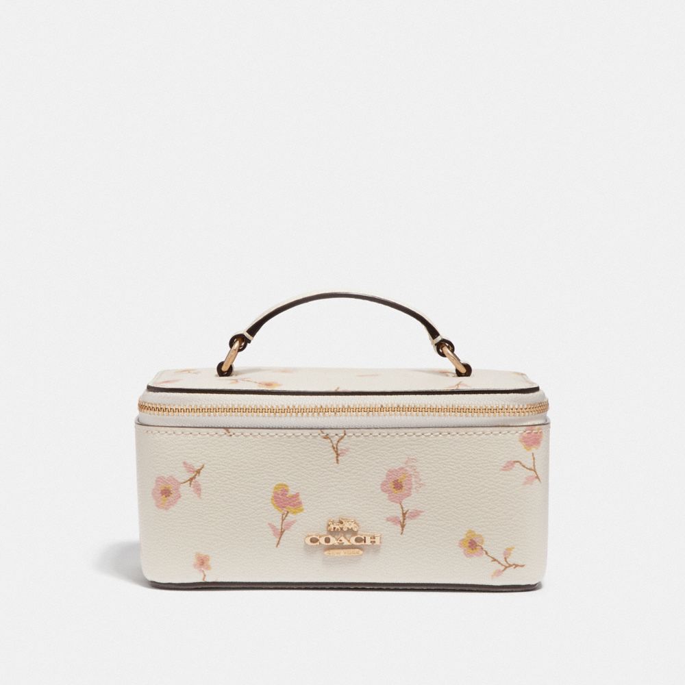 Coach vanity case sale