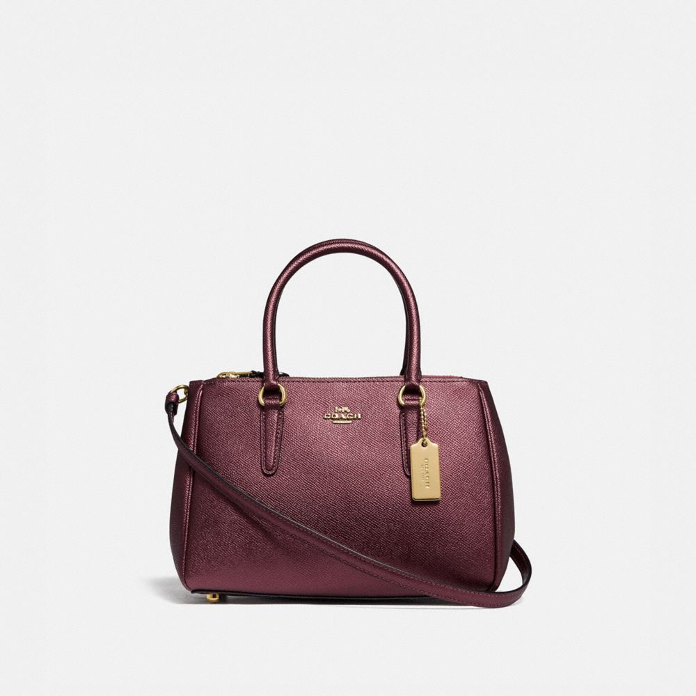 Surrey carryall cheap coach bag