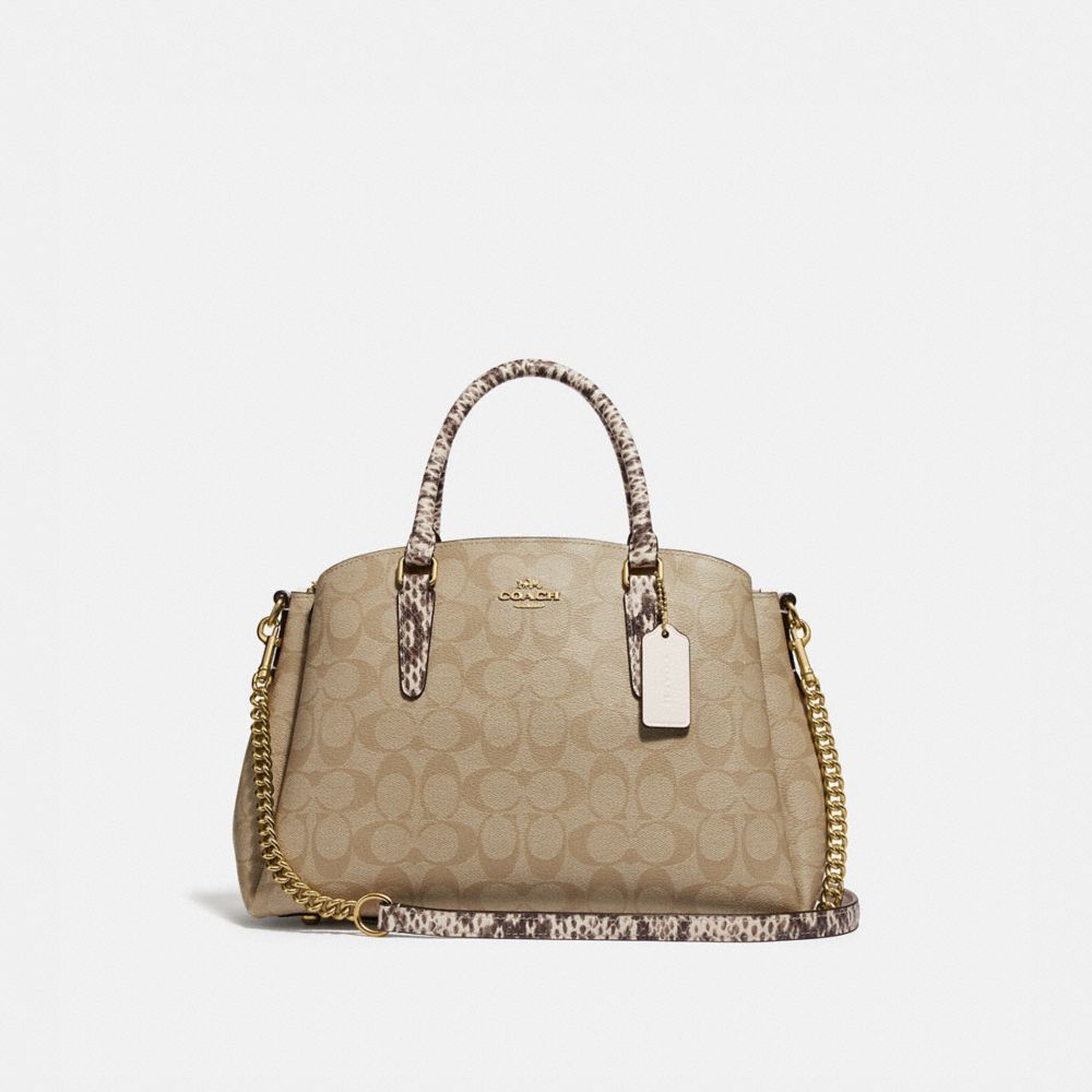 Coach signature 2025 sage carryall