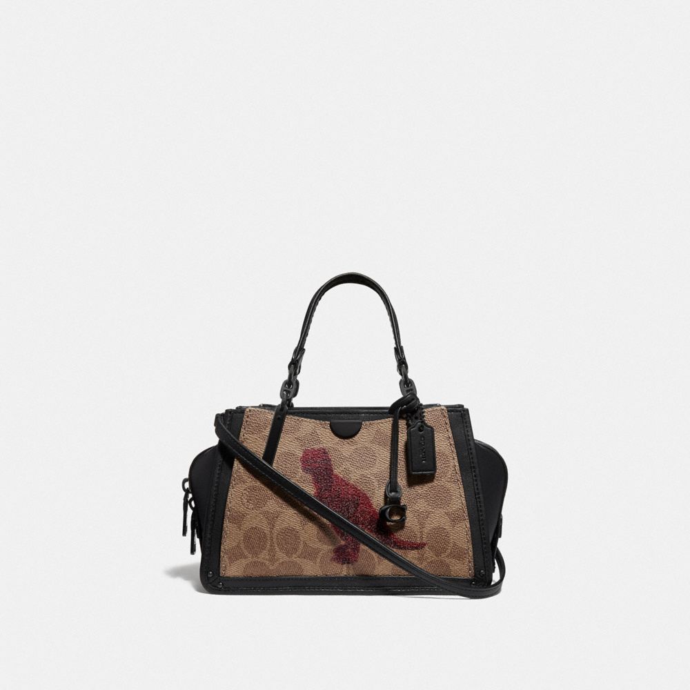 Coach dreamer in online signature canvas