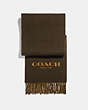 COACH®,SIGNATURE SCARF,wool,Olive Amber,Front View