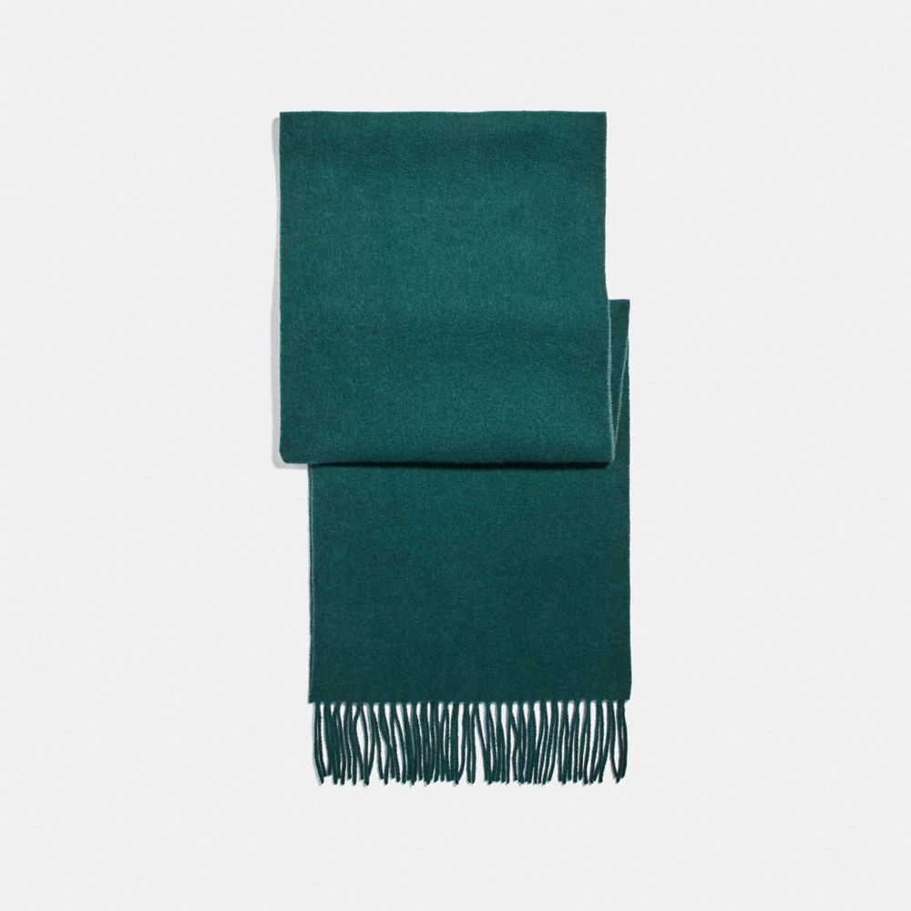 COACH®,SIGNATURE SCARF,Forest,Front View