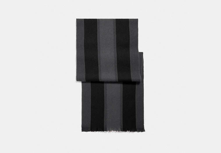 COACH®,VARSITY SPORT SCARF,wool,GRAPHITE,Front View
