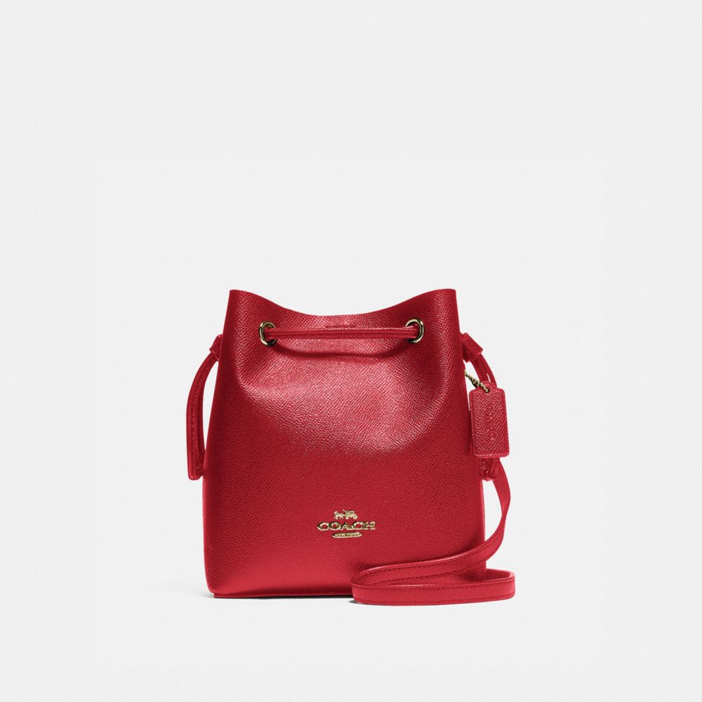 Coach lena crossbody bag new arrivals