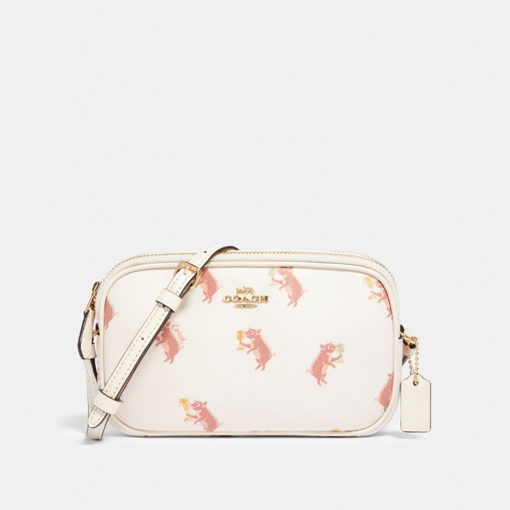 Coach store pig purse