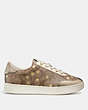 C116 Low Top Sneaker With Star Print